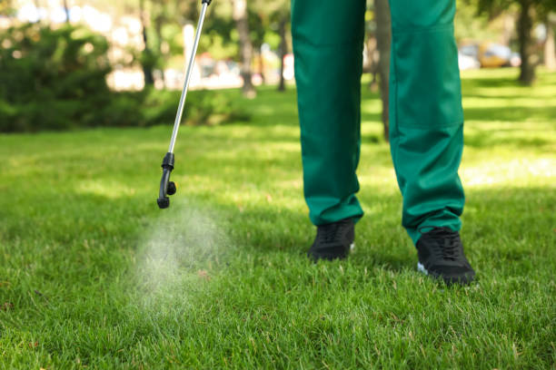 Best Commercial Pest Control Services  in Corunna, MI