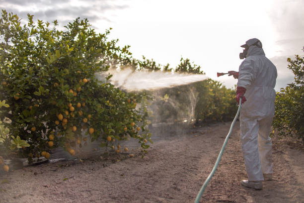 Best Exterminator Services  in Corunna, MI