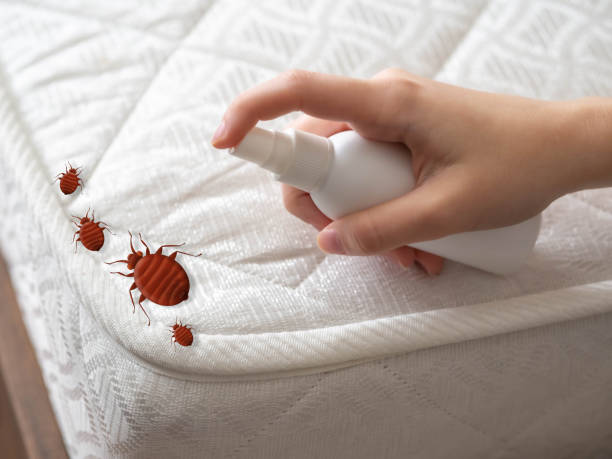 Best Residential Pest Control  in Corunna, MI